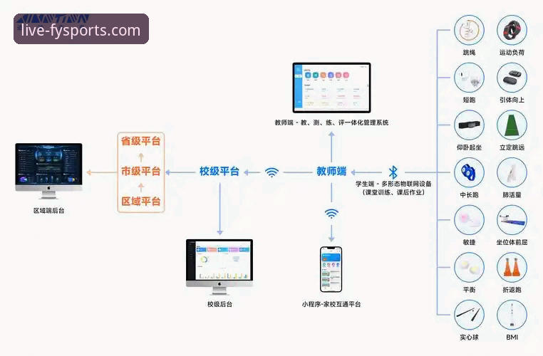 风云体育安卓版下载与平台深度解析